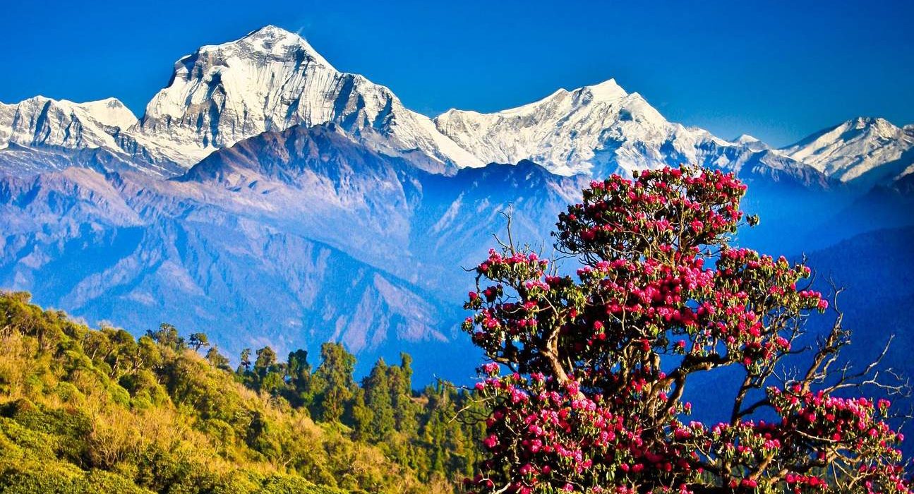 Nagarkot Overnight Getaway